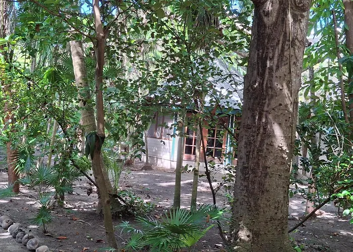 Jungle Cocoon Boutique Hotel