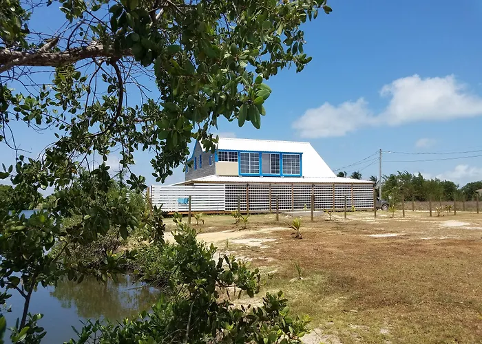 The Bnb On Triggerfish Close To The Airport